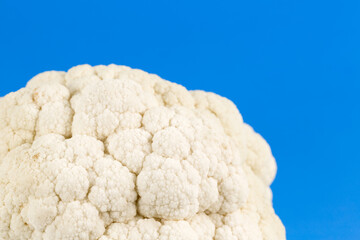 close-up of delicious white cauliflower illustrating a healthy lifestyle isolated on blue background