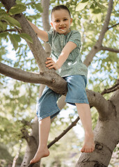 little girl 5 years old with a candy in his mouth climbs a tree