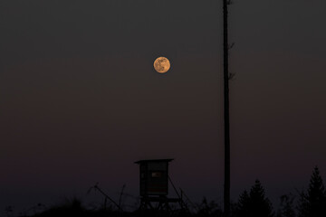 Fototapeta na wymiar La luna llena acompaña a los cazadores y a caseta o puesto de vigilancia