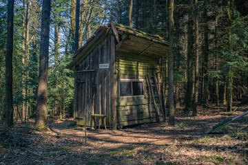 Una caseta en pleno bosque se llena de musgo 