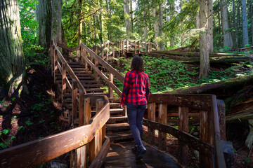 Naklejka na ściany i meble Adventure Girl Walking on a Wooden Pathway in the Rain Forest during a vibrant sunny day. Taken on Giant Cedars Boardwalk Trail in Mt Revelstoke National Park, British Columbia, Canada.