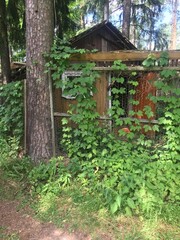 old wooden house