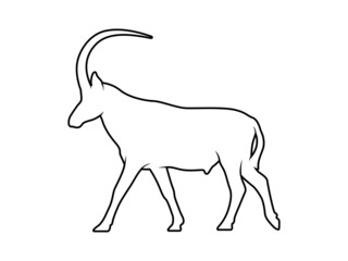 isolated silhouette antelope on white background. 4 leg animal vector design illustration