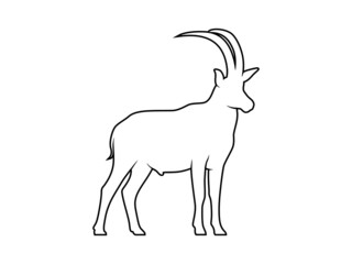 isolated silhouette antelope on white background. 4 leg animal vector design illustration