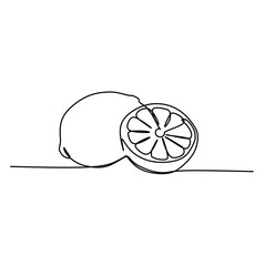 Continuous one line drawing of a lemon fruit. Vector illustration