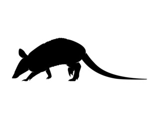 Vector Animal Silhouette Armadillo on White Background