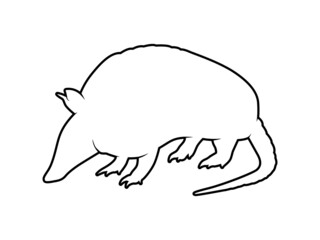 Vector Animal Silhouette Armadillo on White Background