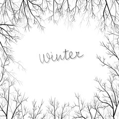 Winter background with hand drawn branches. Winter frame with branches on white.
