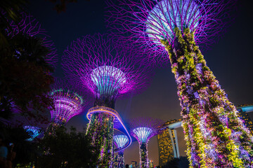 Supertree is famous spot for traveler in singapore.	