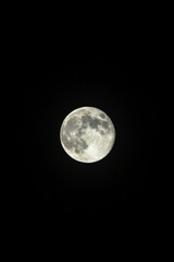 Spring full moon.