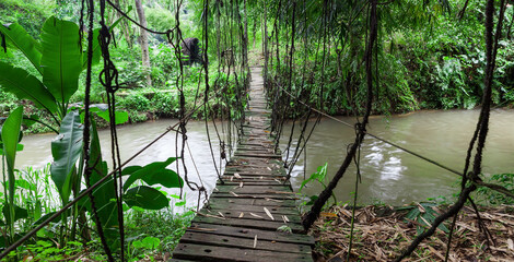 Hanging wooden bridge in lush greens in the Jungle. Bali island. Indonesia.