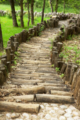 Massage track of natural materials in the forest, sunny summer day. Selective fashionable trendy spot soft focus.