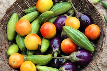 some fresh healthy  eatable vegetable put in a basket 
