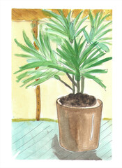 freehand watercolor palm tree in a pot