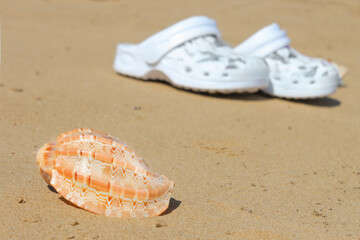 Flip-flops on the sand with a shell. Bright Sunny summer day. Concept of children's summer shoes for the beach. White shoes on Golden sand with a beautiful shell. The summer season is open. 
