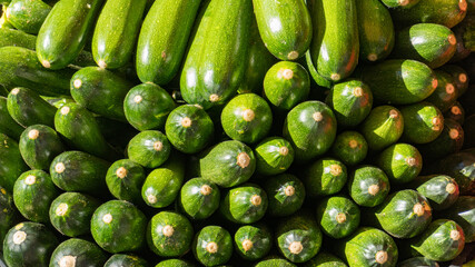 Zucchine