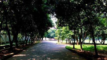 path in the park