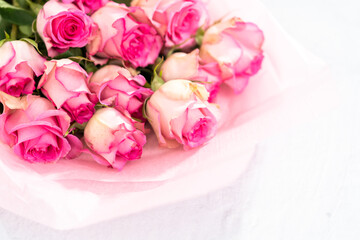 Pink roses