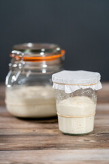 Sourdough starter