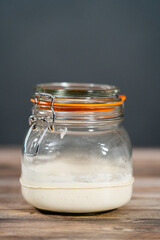 Sourdough starter