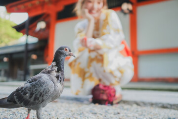 神社の庭でハトと戯れる浴衣姿の女性