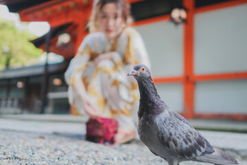 神社の庭でハトと戯れる浴衣姿の女性