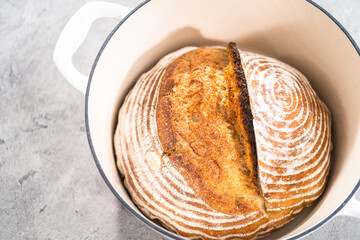 Wheat Sourdough Bread