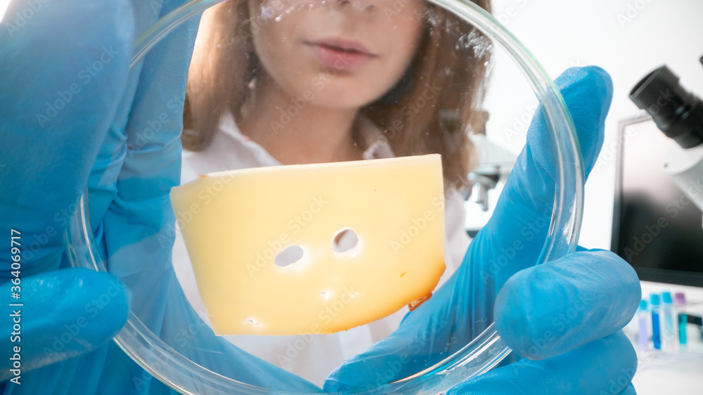 Sticker Cheese quality inspection in a quality control laboratory