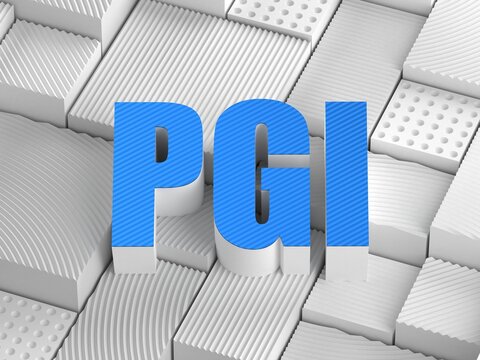 PGI acronym (Parking guidance and information)