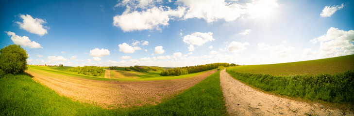 Dirty road in green summer field.  Rural road in the   field