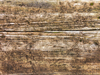 Vintage or grungy background of natural wood or wooden old texture as a retro pattern wall.