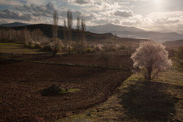 sunset in the countryside in turkey
