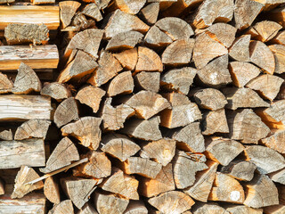 Cross section of the timber for the background. Selective trendy soft focus.
