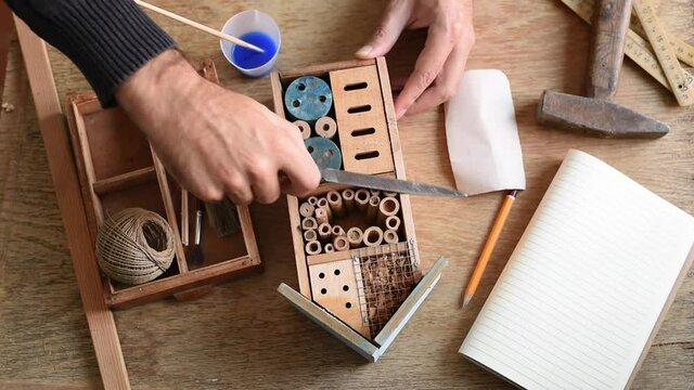 Making wooden insect house
