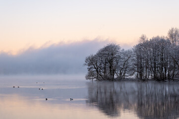 Dancing fairies, calm water, reflections from trees, birds swimming. Beautiful morning at sunrise, dawn in early winter.  Bright sky and mist as background, place for text, copy space.