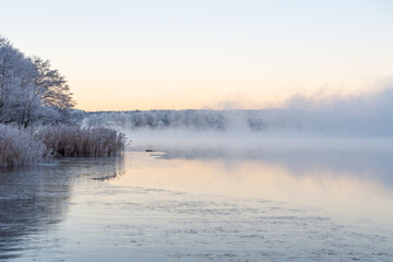 Fototapeta premium Misty morning, dancing fairies, swirling fog, at sunrise, dawn. Early winter landscape with frost. Misty blue pink background with place for text, copy space.