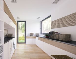modern home laundry interior