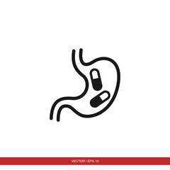 Stomach icon vector