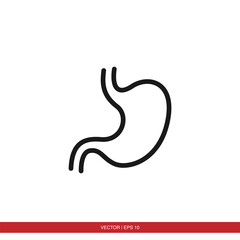 Stomach icon vector