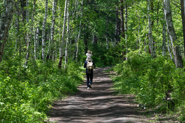 Obraz premium Father walks along a forest trail with his little daughter