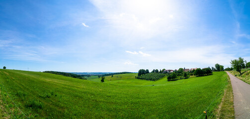 Green grass field and blue sky