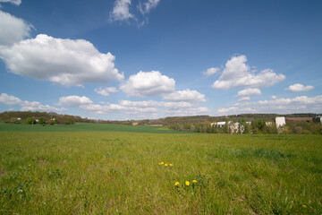 View of a wheat field in Kansas. grass on blue sky background. Green Kansas wheat