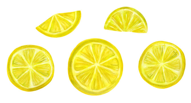 Art watercolor. Different slices of lemon. Hand-drawn elements for design isolated on white background.