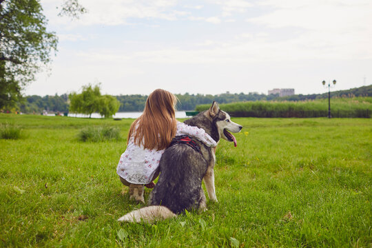 Little girl hugging Husky dog while sitting in fleid and enjoying beautiful view. Friendship between pet and owner