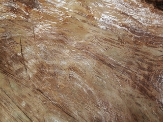 Old wooden floor for graphic design or wallpapers