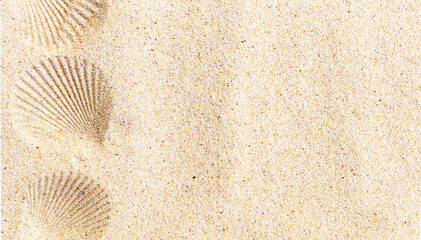 White clean sand with seashell print, top view, copy space. Summertime holiday concept.