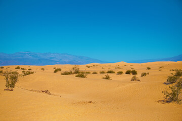 sandy desert of death valley national park in extreme hot temperature with mountain view at horizon