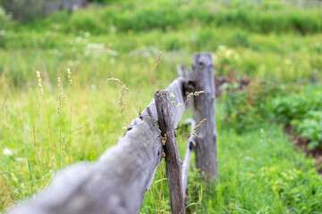 Fence in the garden of long sticks. Parts of the area.