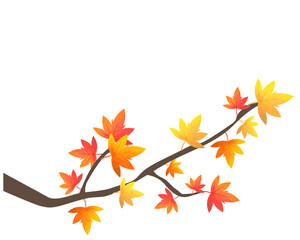 紅葉のイラスト　楓　木