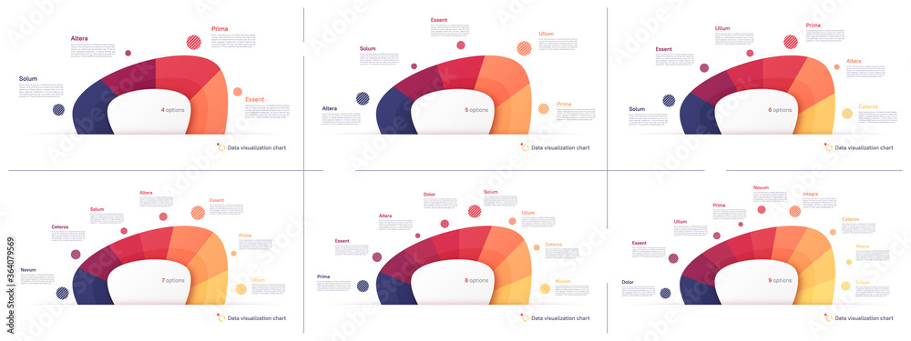 Wall mural vector pie chart infographic templates in the form of abstract shape